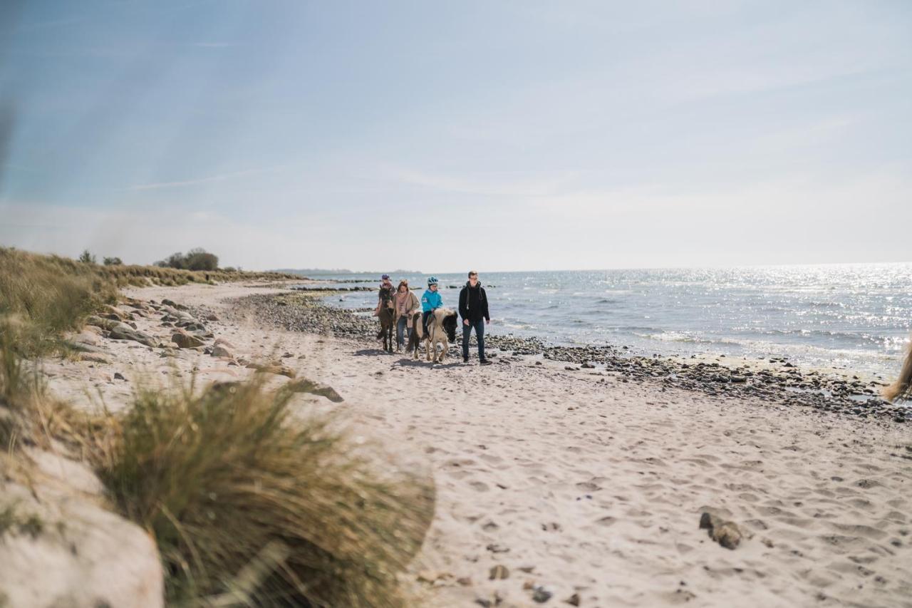 Buedlfarm - Der Familien-Erlebnishof In Strandnaehe Фемарн Екстер'єр фото