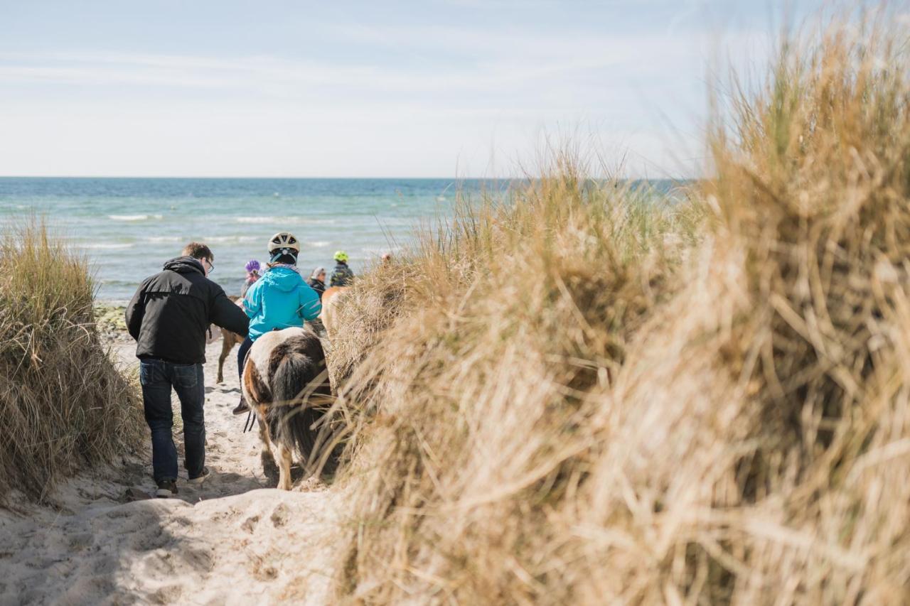 Buedlfarm - Der Familien-Erlebnishof In Strandnaehe Фемарн Екстер'єр фото