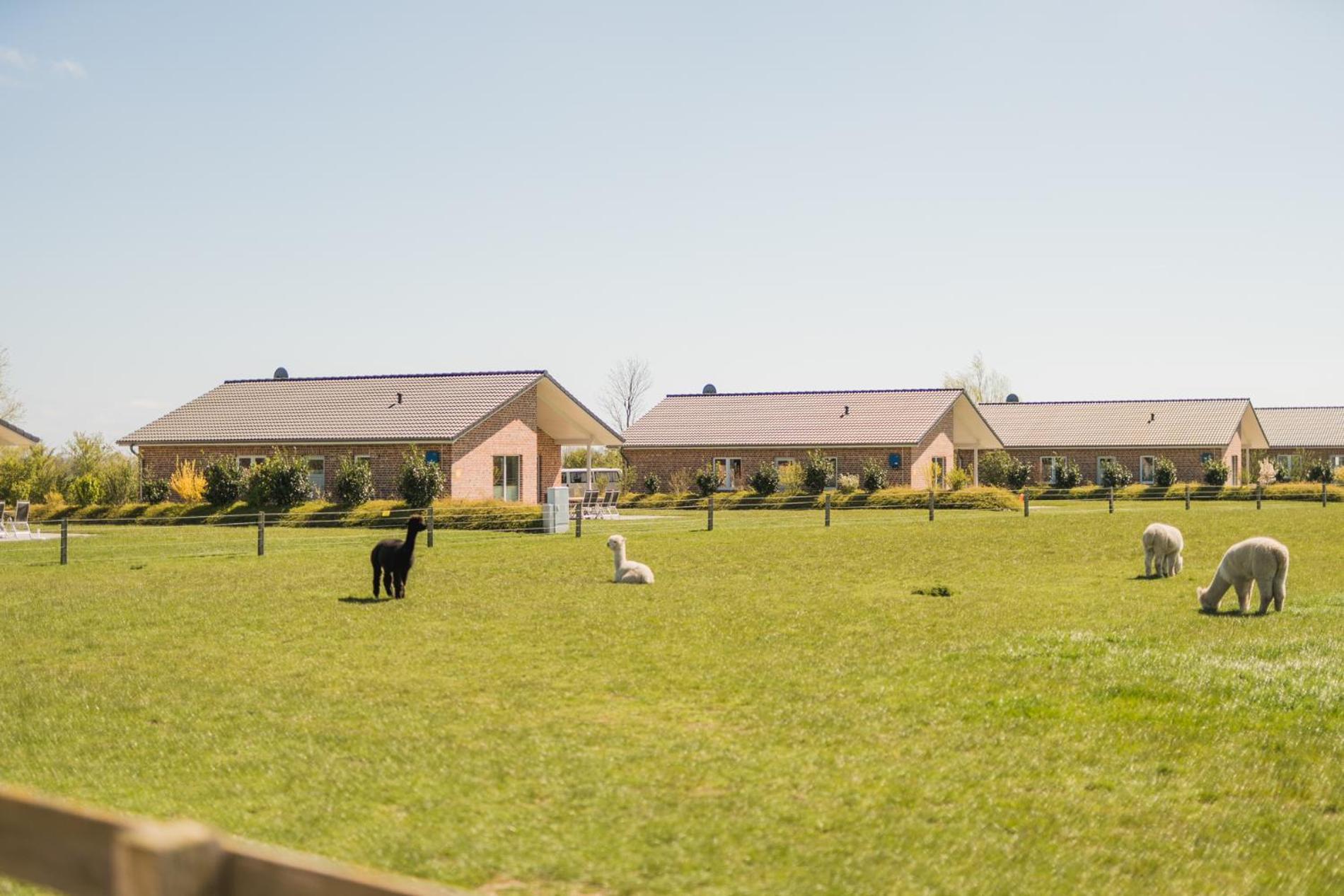 Buedlfarm - Der Familien-Erlebnishof In Strandnaehe Фемарн Екстер'єр фото