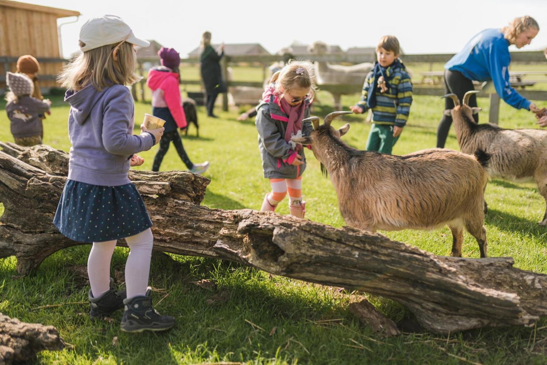 Buedlfarm - Der Familien-Erlebnishof In Strandnaehe Фемарн Екстер'єр фото